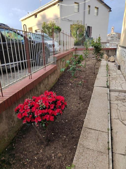 B&B La Finestra Sul Mare Ripatransone Exterior photo
